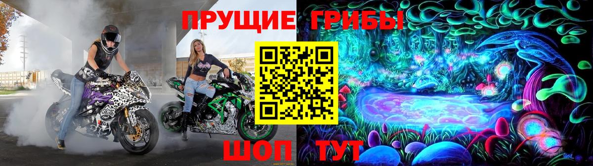 цены   Псилоцибиновые грибы мицелий  Сердобск  Вход с VPN  Псилоцибиновые грибы Psilocybine cubensis 
